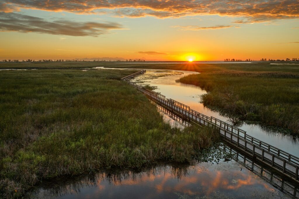 Boardwalk over a calm river at sunrise