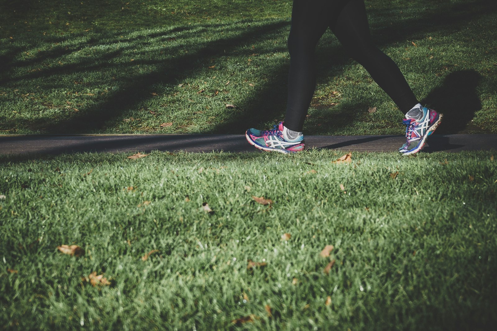 Person walking on a path through the grass
